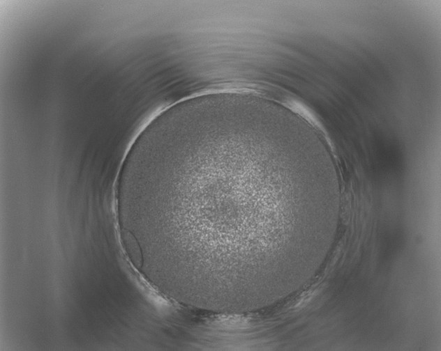 X0000054380907200508051618
