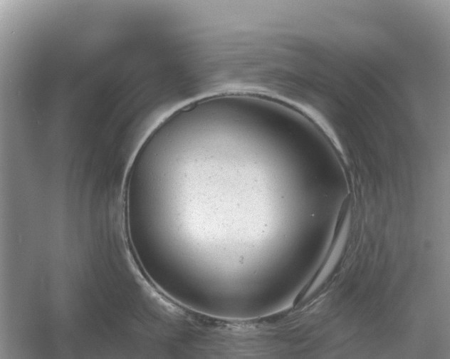 X0000054380911200508051618