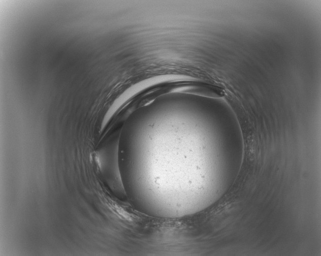 X0000054380916200508051617