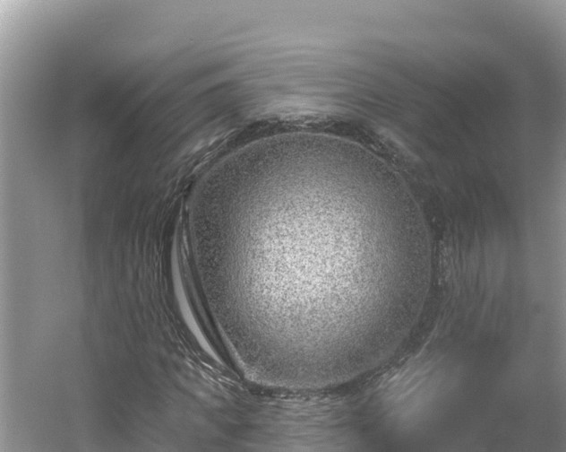 X0000054380917200508051617