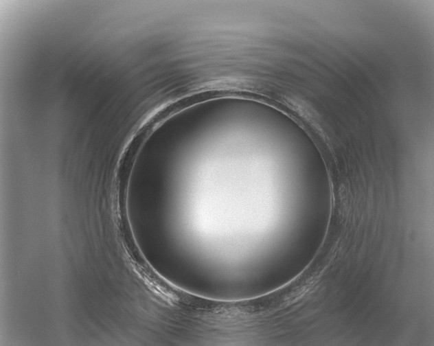X0000054380931200508051617