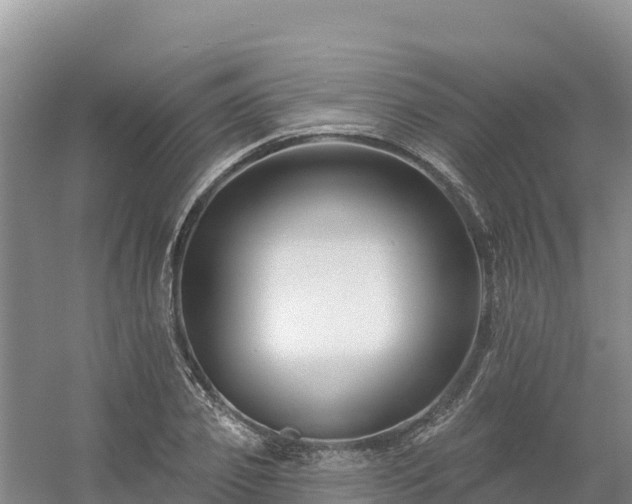 X0000054380933200508051617
