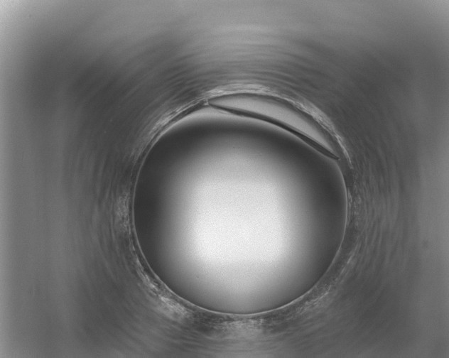 X0000054380937200508051617