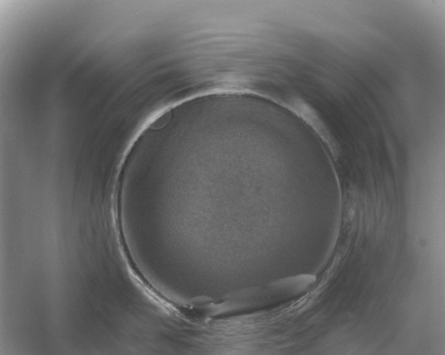 X0000054380958200508051618