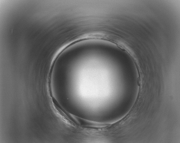 X0000054380960200508051618