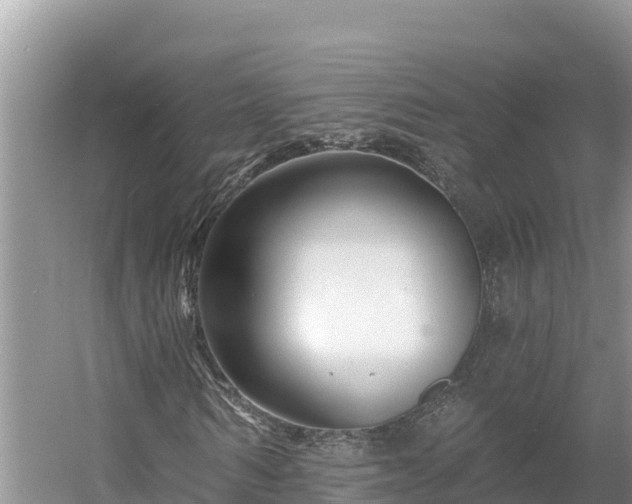 X0000054380962200508051617