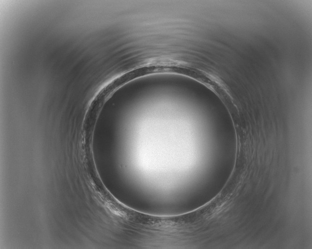 X0000054380971200508051617