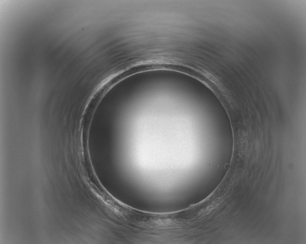 X0000054380982200508051617