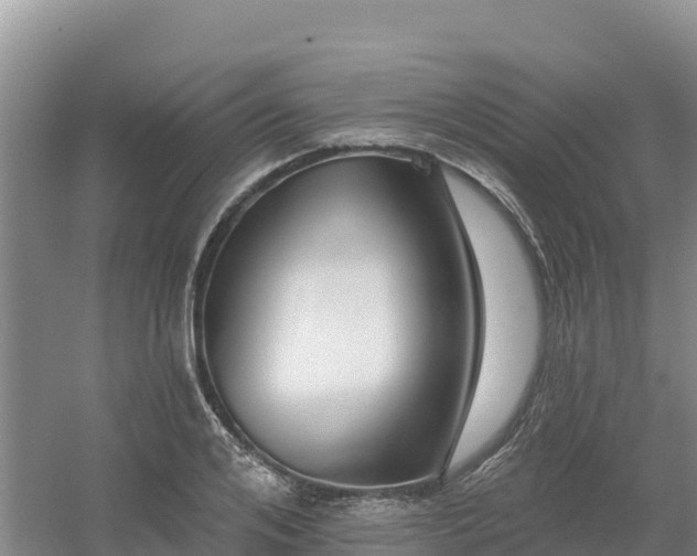 X0000054380984200508051617