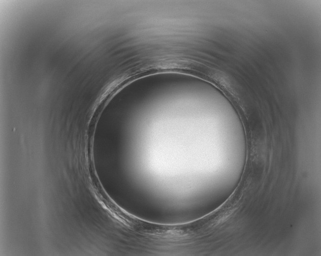 X0000054380986200508051617