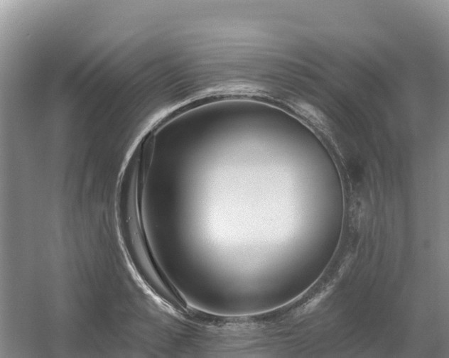 X0000054380989200508051616