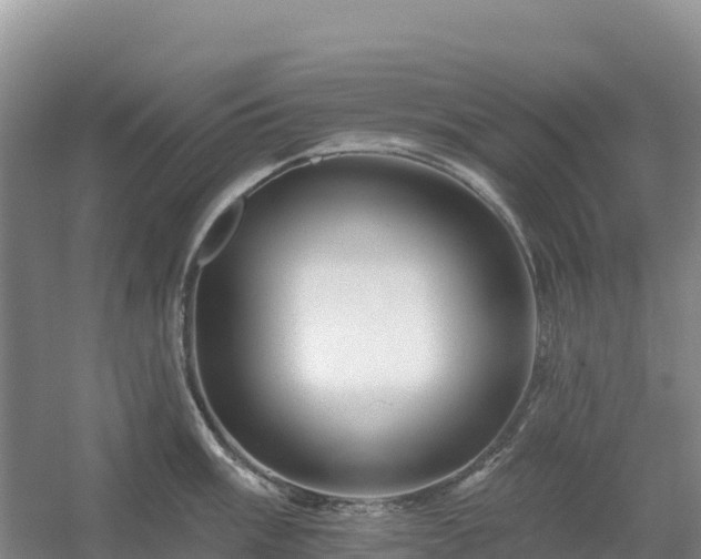 X0000054381003200508051616