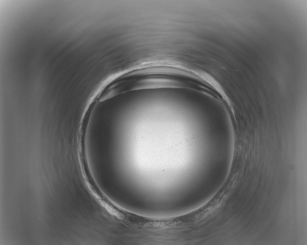 X0000054381005200508051616