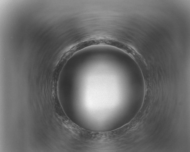 X0000054381016200508051615