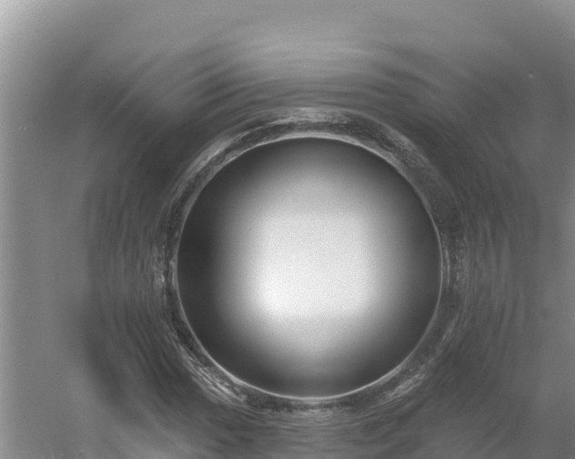 X0000054381017200508051615