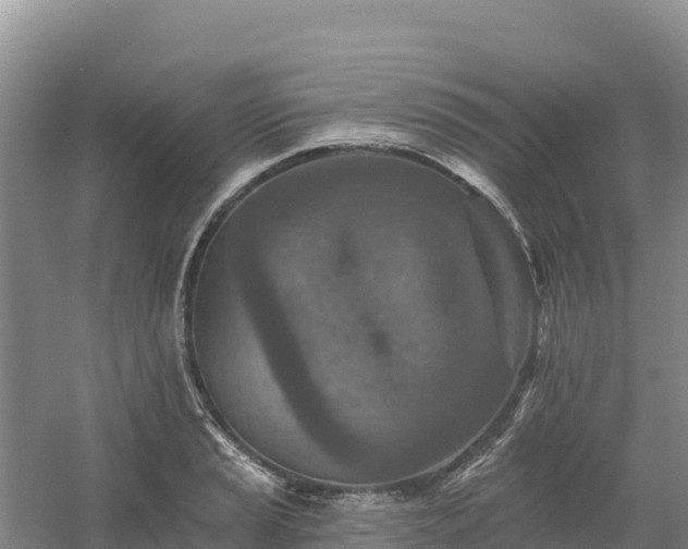 X0000054381037200508051616