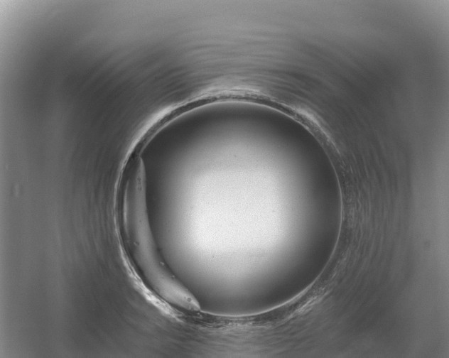 X0000054381038200508051616
