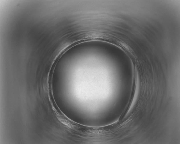 X0000054381039200508051616