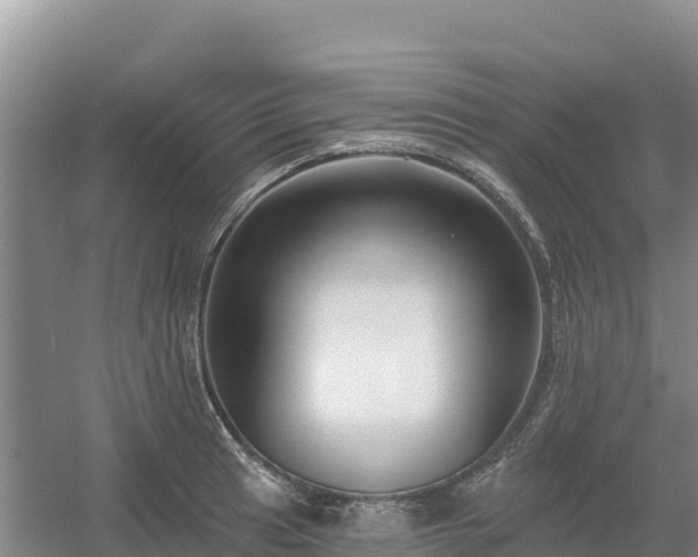 X0000054381041200508051616