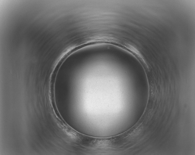 X0000054381043200508051616