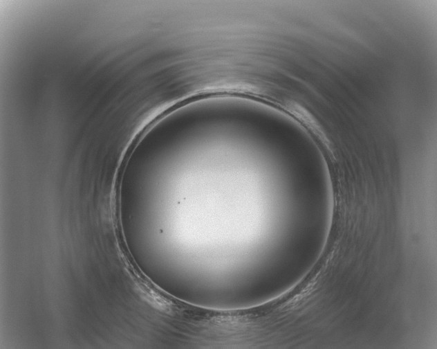 X0000054381044200508051616