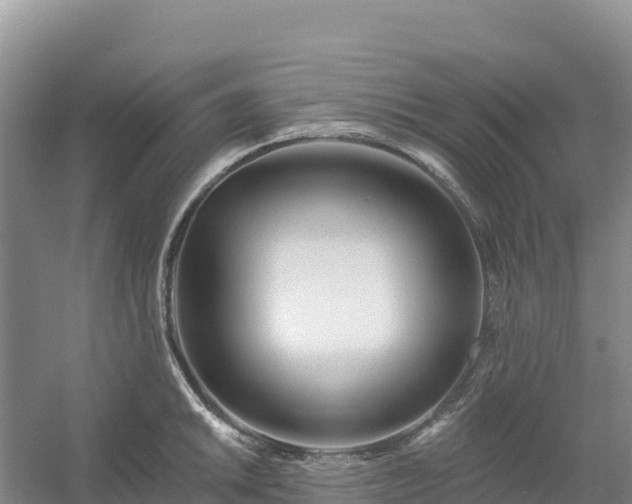 X0000054381046200508051616