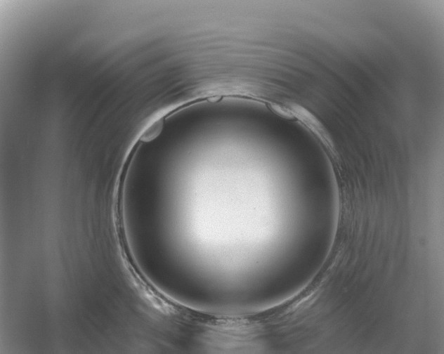 X0000054381052200508051616