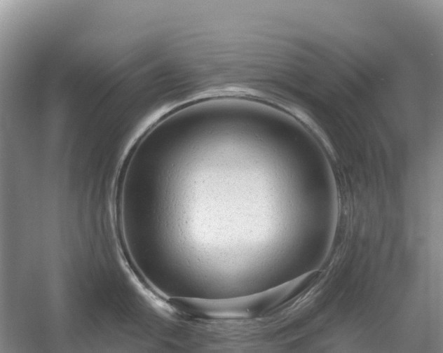 X0000054381054200508051616