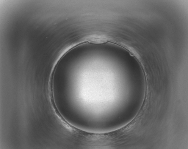 X0000054381056200508051616