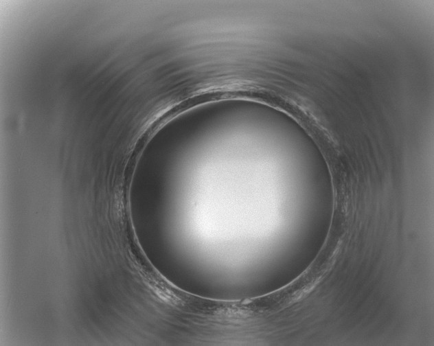 X0000054381073200508051615