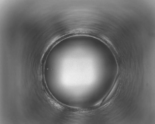 X0000054381075200508051615