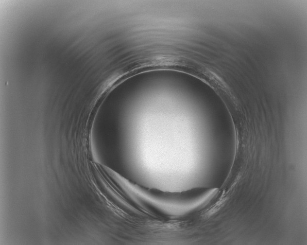 X0000054381081200508051615