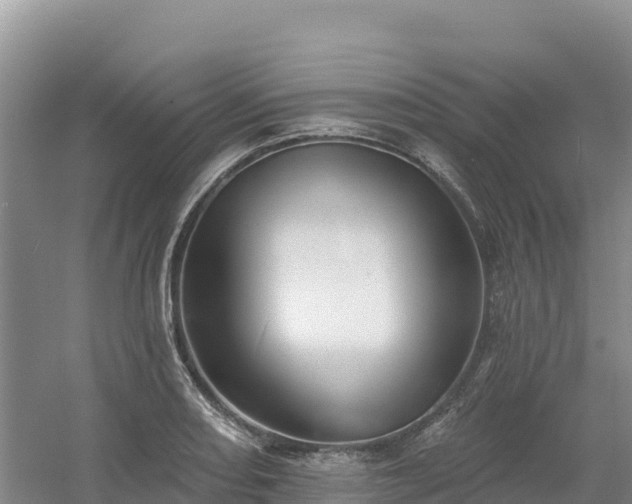 X0000054381082200508051615