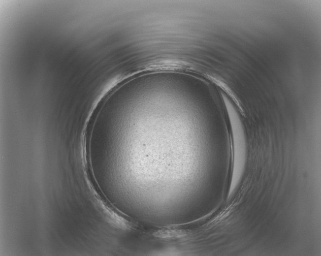 X0000054381083200508051615