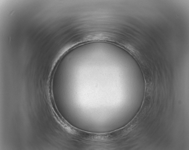 X0000054381086200508051615