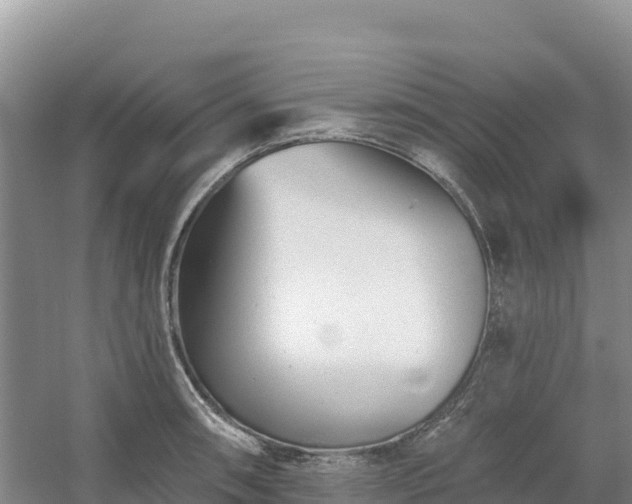 X0000054381090200508051615