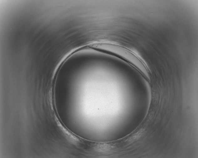 X0000054381100200508051615
