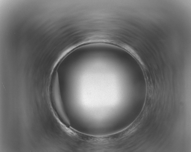 X0000054381101200508051615