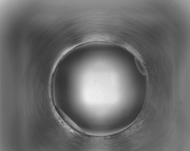 X0000054381104200508051615