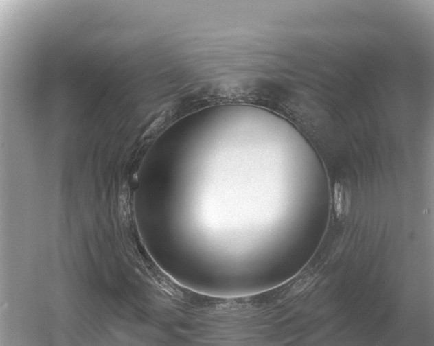 X0000054381107200508051614
