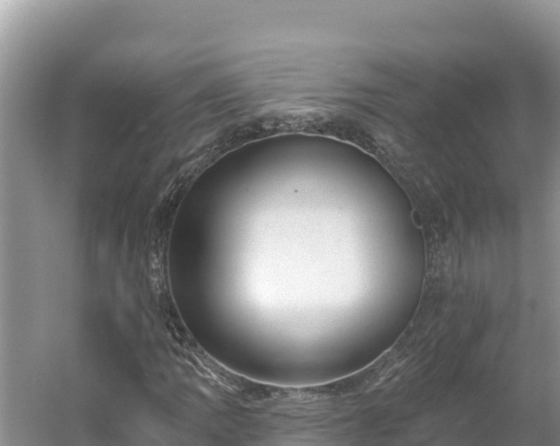 X0000054381109200508051614