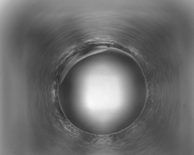 X0000054381110200508051614