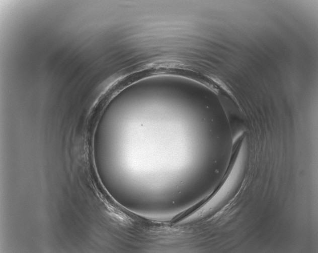 X0000054381115200508051614