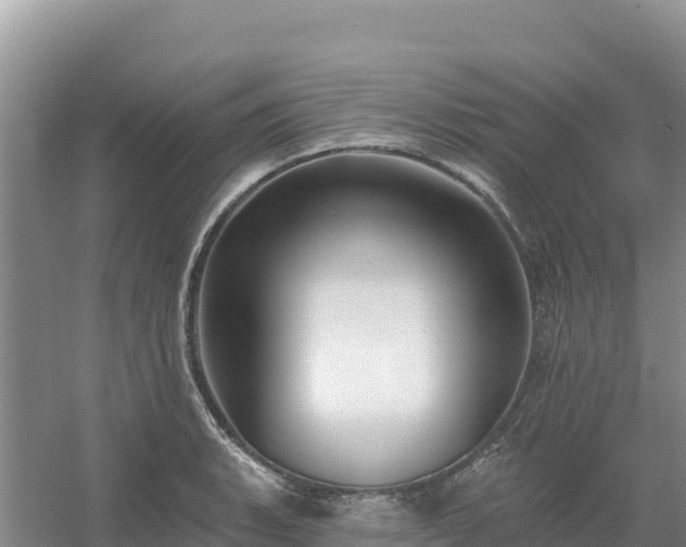 X0000054381135200508051614
