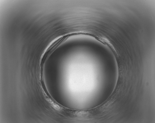 X0000054381140200508051614