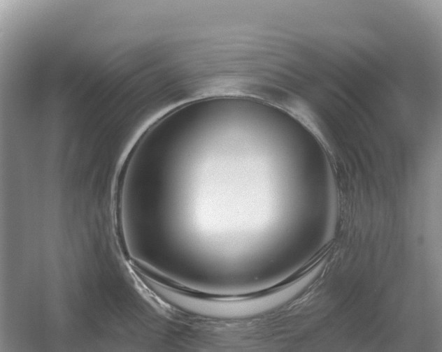 X0000054381148200508051614