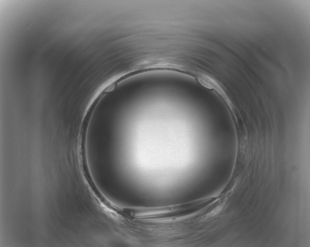 X0000054381149200508051614