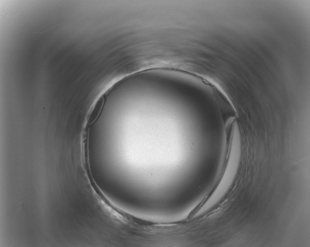 X0000054381151200508051614