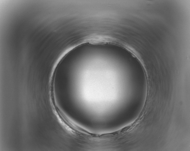 X0000054381152200508051614