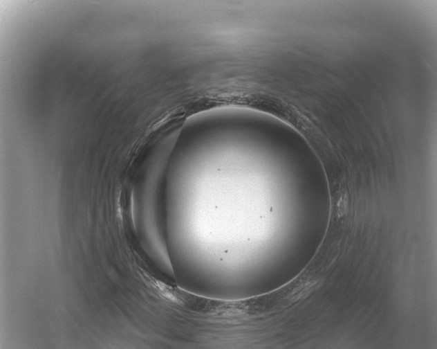 X0000054381156200508051614